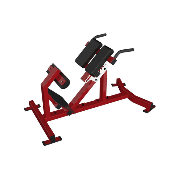 Back Extension - Dstars Gym Equipment Philippines