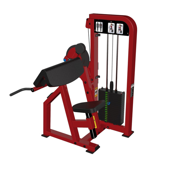 Biceps/Triceps - Dstars Gym Equipment Philippines