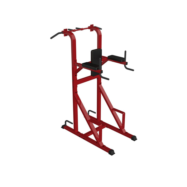 Chin/Dip/Leg Raise Stand - Dstars Gym Equipment Philippines