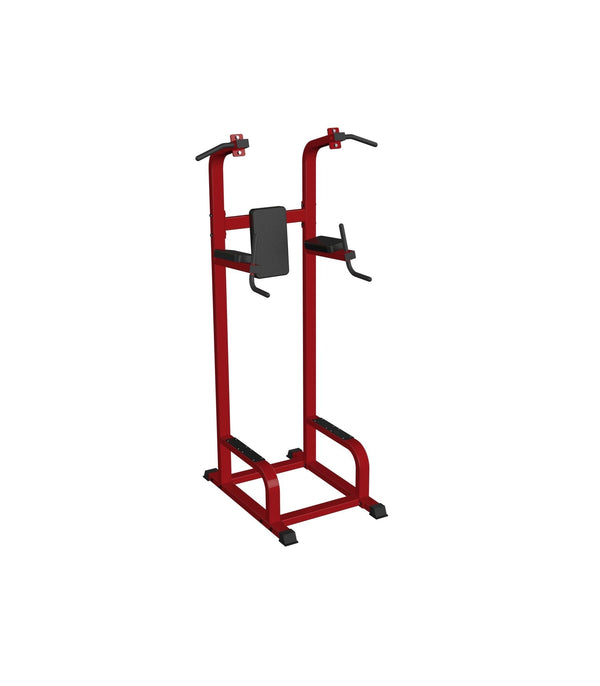 Chin/Dip/Leg Raise Stand - Dstars Gym Equipment Philippines