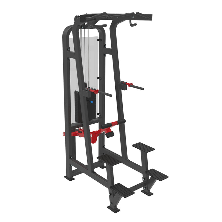 Standing Assisted Chin Dip - Dstars Gym Equipment Philippines