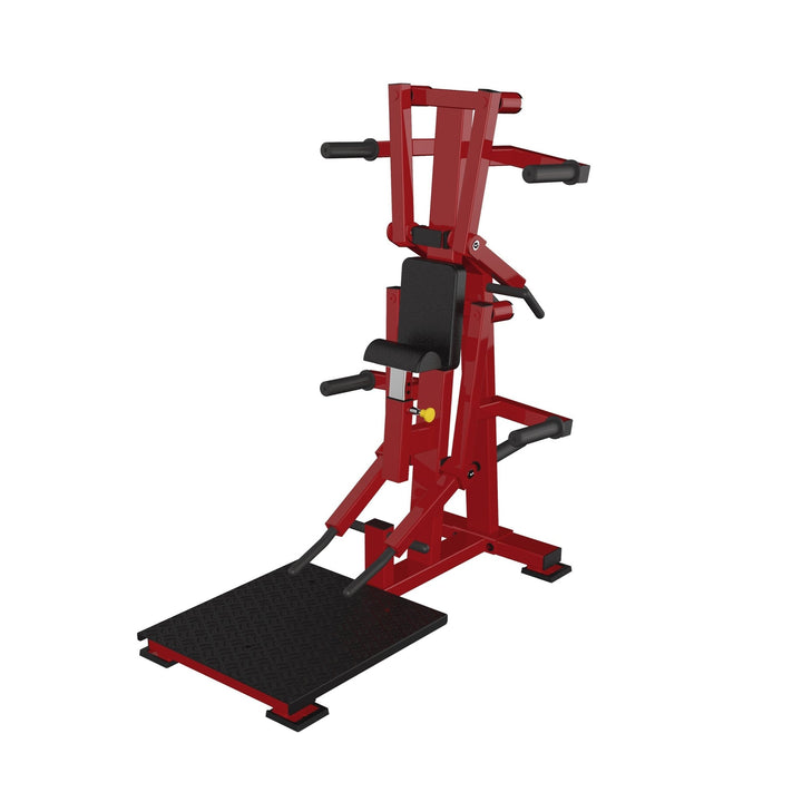 Bend Fly Side Lift Combination - Dstars Gym Equipment Philippines