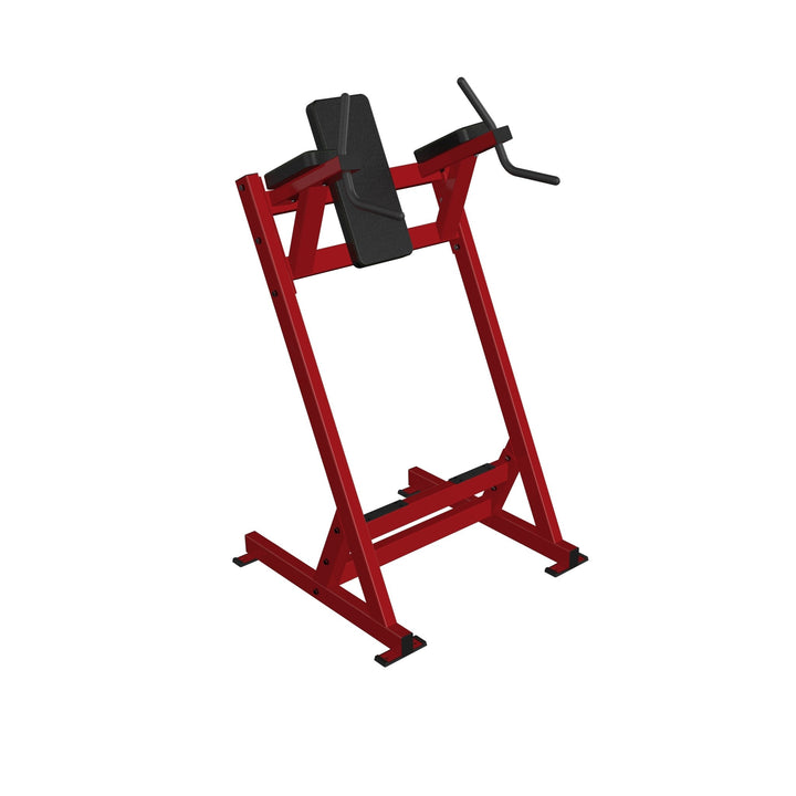 Dip/Leg Raise Station - Dstars Gym Equipment Philippines